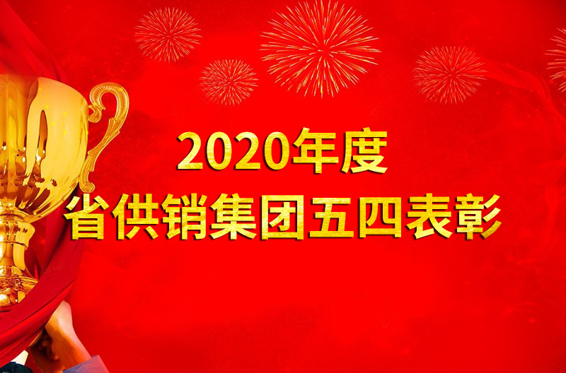 2020年度省供销集团五四表彰