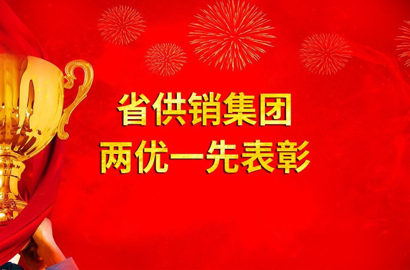 关于表彰安徽省供销集团有限公司 “优秀共产党员、优秀党务工作者和先进基层党组织”的决定