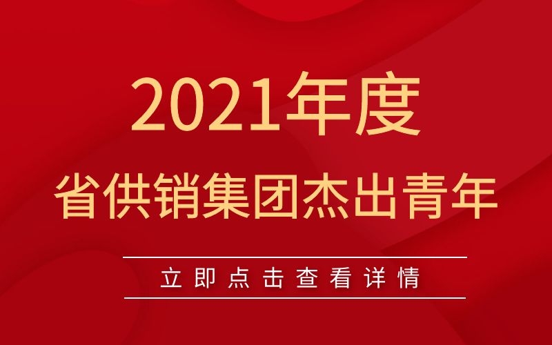 2021年度省供销集团杰出青年