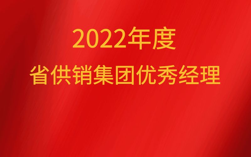 2022年度省供销集团优秀经理