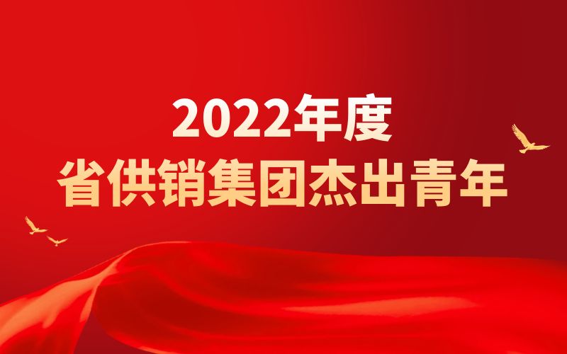 2022年度省供销集团杰出青年