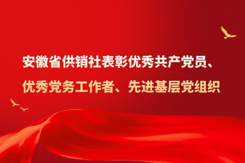 安徽省供销社表彰优秀共产党员、优秀党务工作者、先进基层党组织