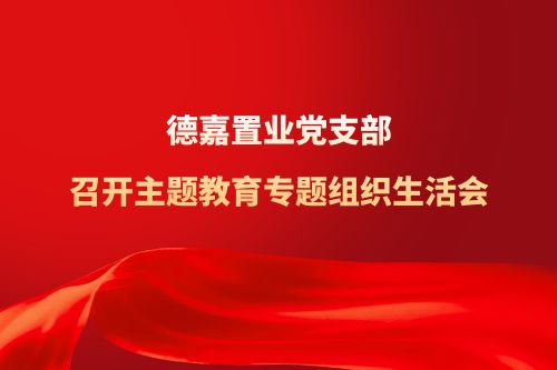 德嘉置业党支部 召开主题教育专题组织生活会