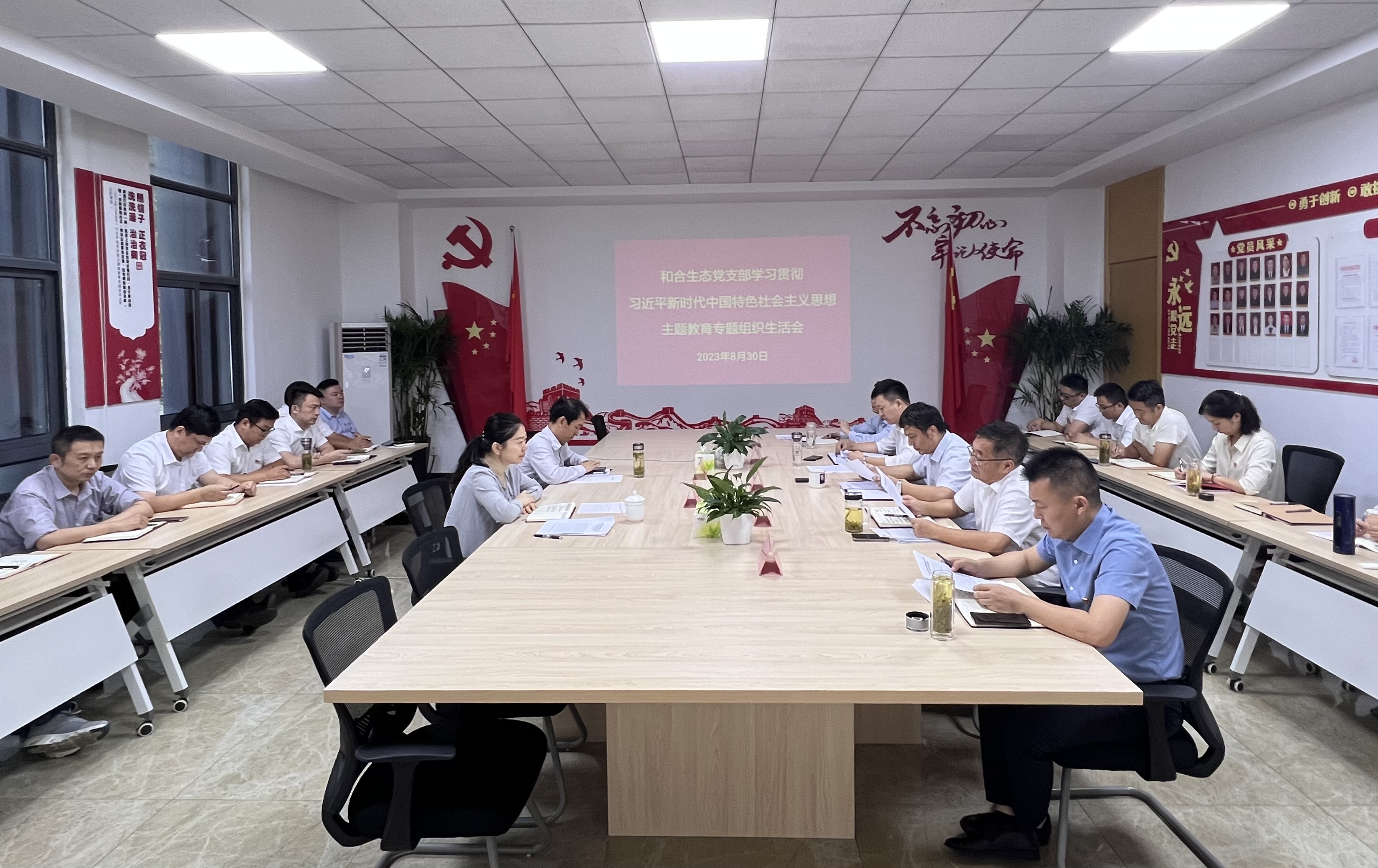 和合生态党支部召开主题教育专题组织生活会