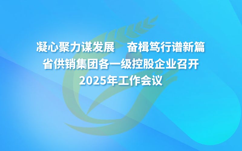 省供销集团各一级控股企业召开2025年工作会议