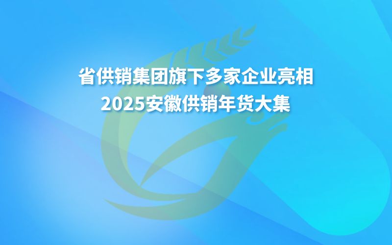 供销年货大集 | 省供销集团旗下多家企业亮相2025安徽供销年货大集