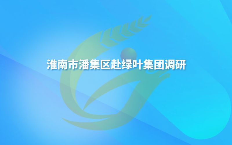 淮南市潘集区赴绿叶集团调研
