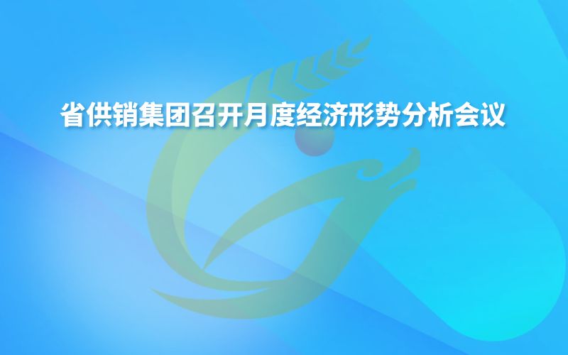 省供销集团召开月度经济形势分析会议