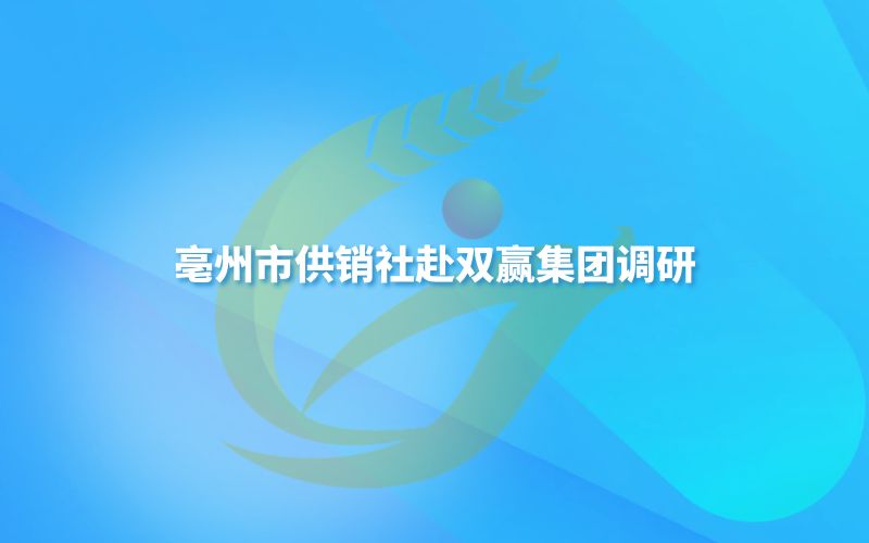 亳州市供销社赴双赢集团调研