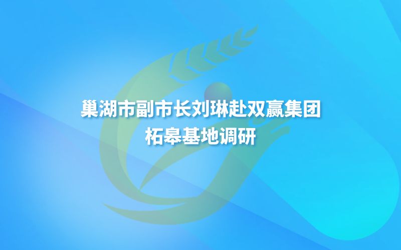 巢湖市副市长刘琳赴双赢集团柘皋基地调研
